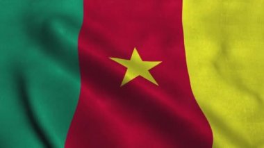 Kamerun bayrağı rüzgarda dalgalanıyor. Ulusal Kamerun Cumhuriyeti Bayrağı