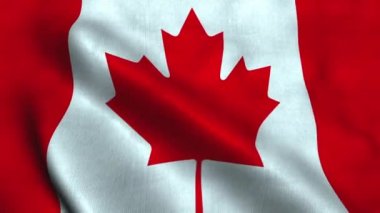 Kanada bayrağı rüzgarda dalgalanıyor. Kanada Ulusal Bayrağı