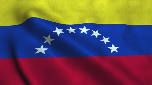 Venezuelská vlajka mává. Národní vlajka Bolívarovská republika Venezuela — Stock video