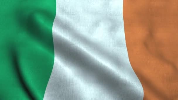 Drapeau de l'Irlande agitant le vent. Drapeau national d'Irlande — Video