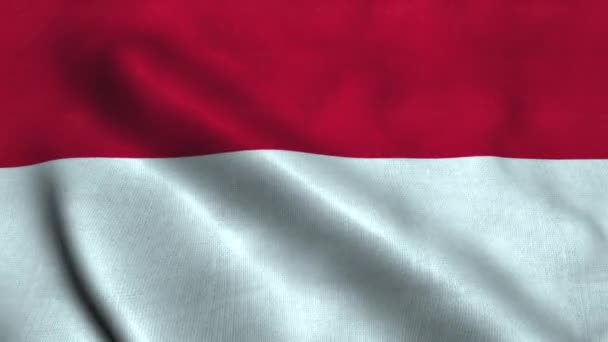 Bandeira da Indonésia acenando ao vento. Bandeira nacional República da Indonésia — Vídeo de Stock