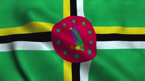 ドミニカの旗が風になびく。ドミニカ島の国旗 — ストック動画