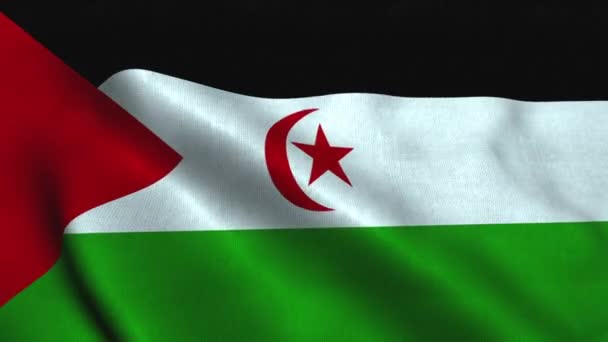 Bandera del Sahara Occidental ondeando en el viento. Bandera nacional del Sahara Occidental — Vídeo de stock