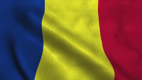 Romania flag waving in the wind. National flag of Romania — 비디오