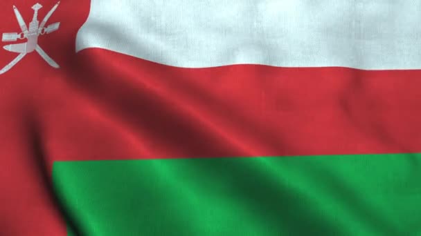 Oman flag waving in the wind. National flag Sultanate of Oman — Stock Video