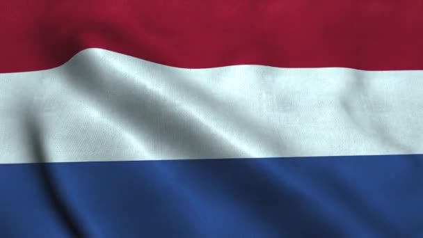 La bandiera olandese sventola nel vento. Bandiera nazionale Regno dei Paesi Bassi — Video Stock
