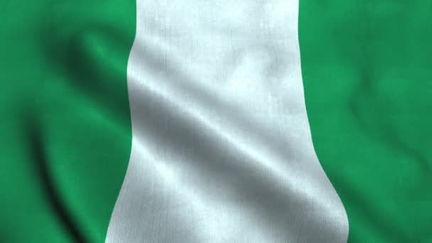 Bandera de Nigeria ondeando en el viento. Bandera nacional República Federal de Nigeria — Vídeos de Stock