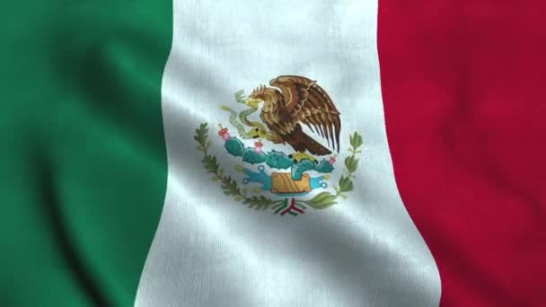 Meksika bayrağı rüzgarda dalgalanıyor. Ulusal bayrak Meksika Birleşik Devletleri — Stok video