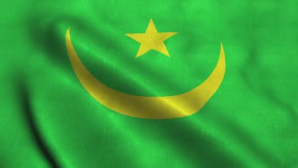 Mauretaniens flagga vinkar i vinden. Nationell flagga Islamiska republiken Mauretanien — Stockvideo