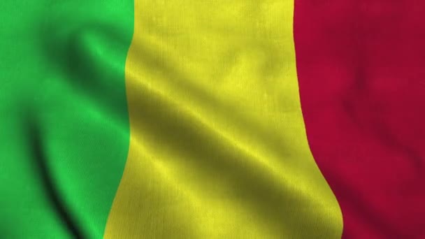 Bandera de Malí ondeando en el viento. Bandera de Mali — Vídeo de stock