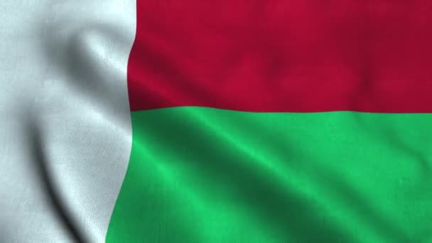 Bandera de Madagascar ondeando en el viento. Bandera nacional República de Madagascar — Vídeo de stock
