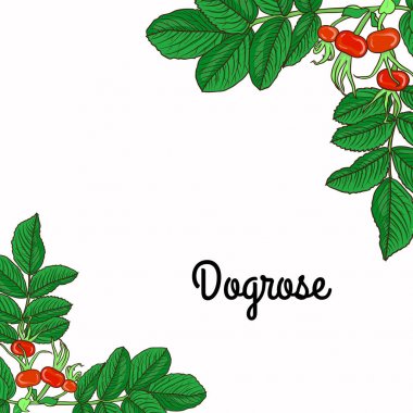 Köpek gül dalı ile kartı