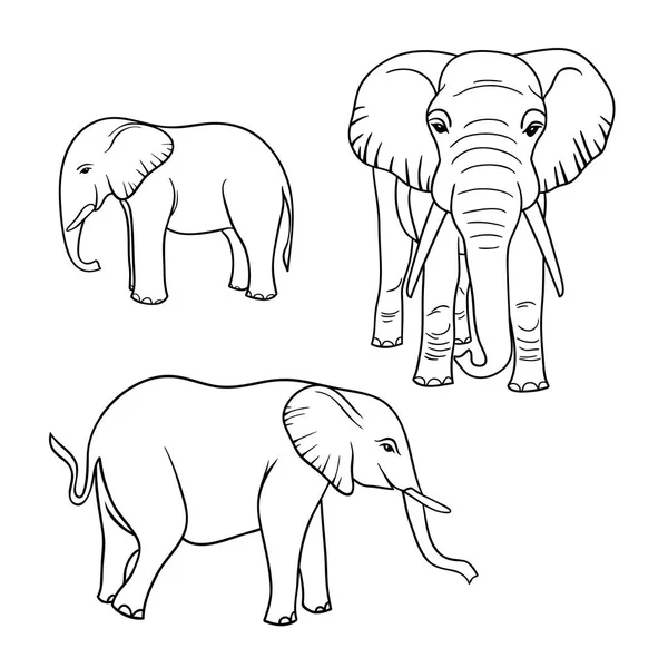 Vector illustratie olifant — Stockvector