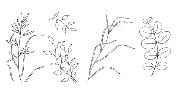 Conjunto de ilustración vectorial con la imagen de flores decorativas, ramas y hierbas. Gran diseño para cualquier propósito . — Vector de stock