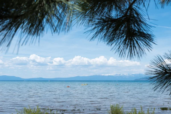 Sierra Nevada ağaç dalları ile çerçeveli Tahoe Gölü çevresinde — Stok fotoğraf