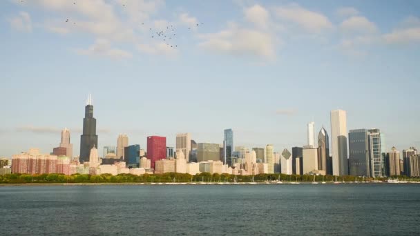 Chicago Downtown por la mañana — Vídeo de stock