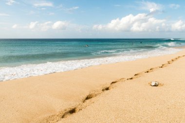 Oahu Hawaii ünlü Banzai Pipeline kumsalda