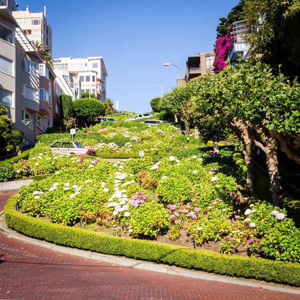 Lombard Street a San Francisco California — Foto Stock