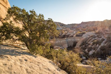 Gün ışığına çölde