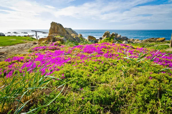 Schilderachtige kustlijn van de meningen van Californië — Stockfoto