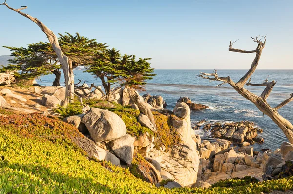 Schilderachtige kustlijn van de meningen van Californië — Stockfoto