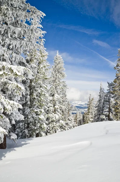 Paisaje de invierno del resort alpino Imágenes de stock libres de derechos