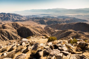 Joshua Tree Ulusal Parkı