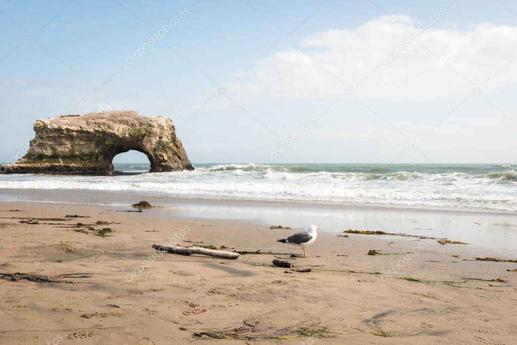 Natural Bridges seascape