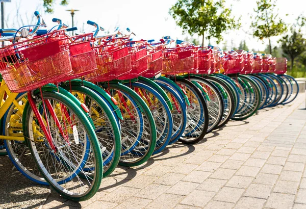 Велосипеди в Googleplex - штаб-квартирі Google — стокове фото