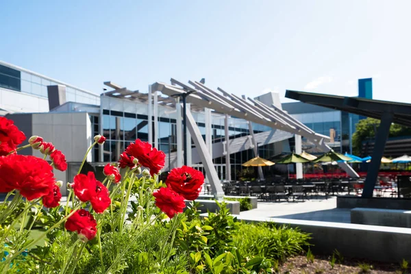 Restaurants at Googleplex - Google Headquarters — Stock Photo, Image