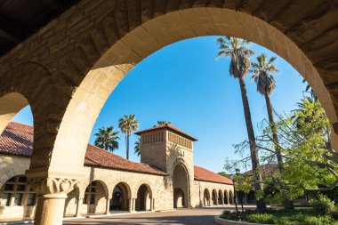 Ana Camus Stanford Üniversitesi
