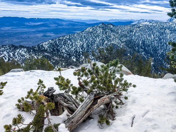 Λίμνη tahoe το χειμώνα — Φωτογραφία Αρχείου