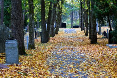 Mezarlık geçit yere yaprakları ile. 