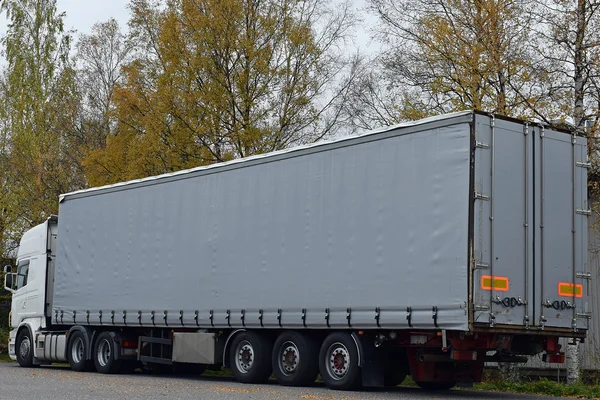 Camion garé blanc et gris — Photo