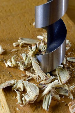Ahşap Delme. Dikey yakın çekim ahşap matkap ve talaşı.