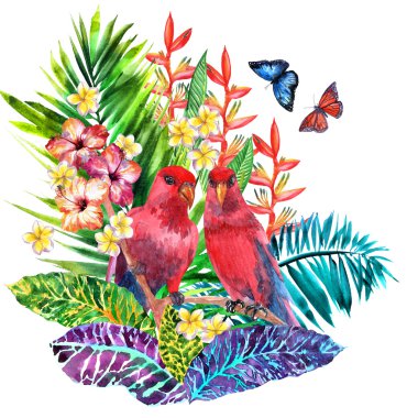 İki kırmızı papağan ve güzel bir buket tropikal hibiscus çiçek, orkide, avuç içi ve muz yaprakları, kuşlar, kelebekler uçan çift çift. Suluboya gerçekçi illüstrasyon