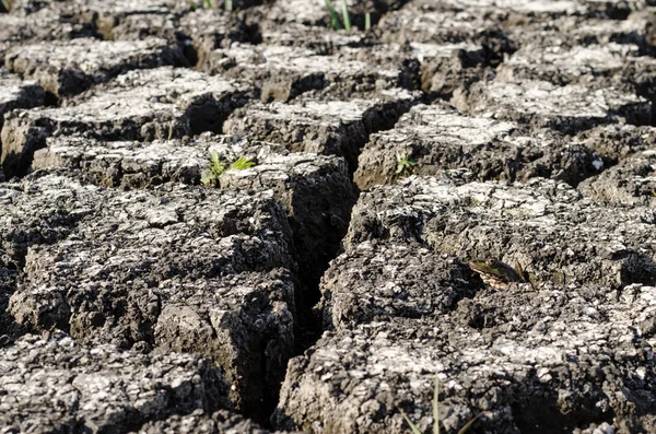 Fondo texturizado de la superficie de tierra agrietada seca — Foto de Stock