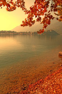 Como Gölü İtalya 'da güzel sonbahar manzarası. Arkaplanda renkli kırmızı yapraklar ve dağlar. 