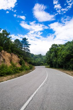 Karayolu (boş) ve dağlık alanda orman. 