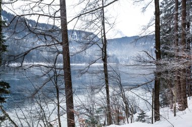 Donmuş göl ve Alp dağları. Kış gölü ve karlı ağaçlar. Güzel manzara. 