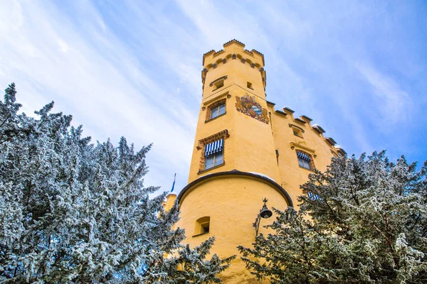 Hrad Hohenschwangau Německu Pohádková Krajina Zima Jedle Pokryté Sněhem Jasně — Stock fotografie