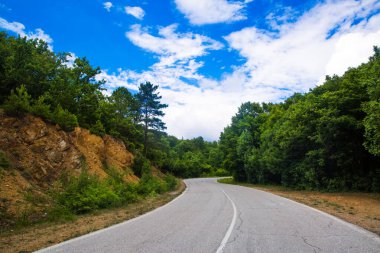 Dağlardaki orman yolu, Bulgaristan 'daki ulusal park mavi taşları. Yırtık. Mavi gökyüzüyle güneşli bir gün. 