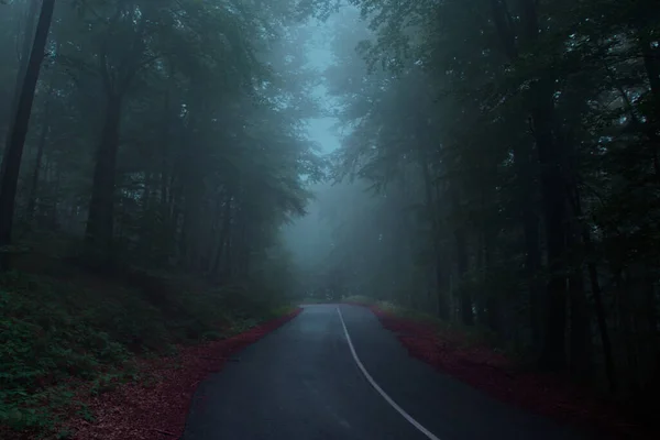 Straße Durch Den Dunklen Geheimnisvollen Wald Transsilvanien — Stockfoto