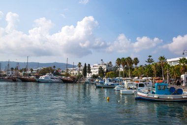 Yunanistan 'ın Kos adası kıyı şeridi yakınlarında balıkçılık ve turizm tekneleri ve palmiye ağaçları. 