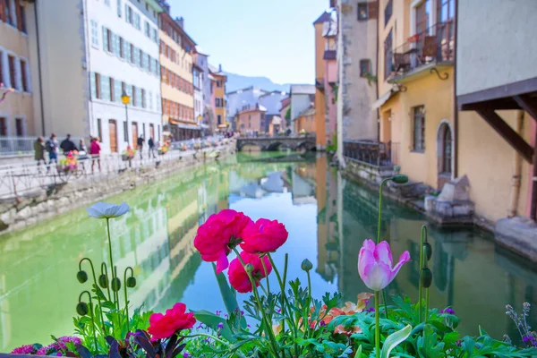 Bright Sunny Day Annecy France Pink Yellow White Tulips Colorful — Stock Photo, Image
