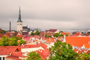 Tallinn şehir merkezi panoramik manzara, aydınlık çatılar ve gri gökyüzü, Estonya. 