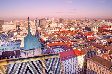 St. Stephen Katedrali 'nin hava manzarası, jöleli kiremit çatı, kule ve renkli manzara, Avusturya. 