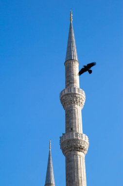 Türkiye, İstanbul 'da mavi gökyüzünde minareler ve kuşlar. 