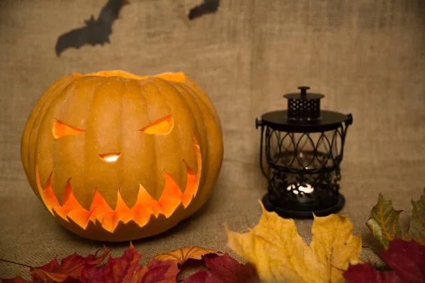 Halloween symbol jack-o-lantern with yellow, orange, green leaves, black lantern and bats. Scary carved pumpkin with burning candles.