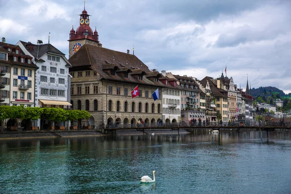 Lucerne, İsviçre. 16 Nisan 2017. Güzel eski kasaba panoraması, belediye binası ve beyaz kuğu. Nehir Reuss. 